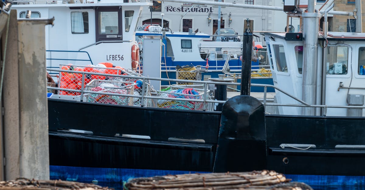 Comparing the Costs of Sustainable Materials for Kitchens