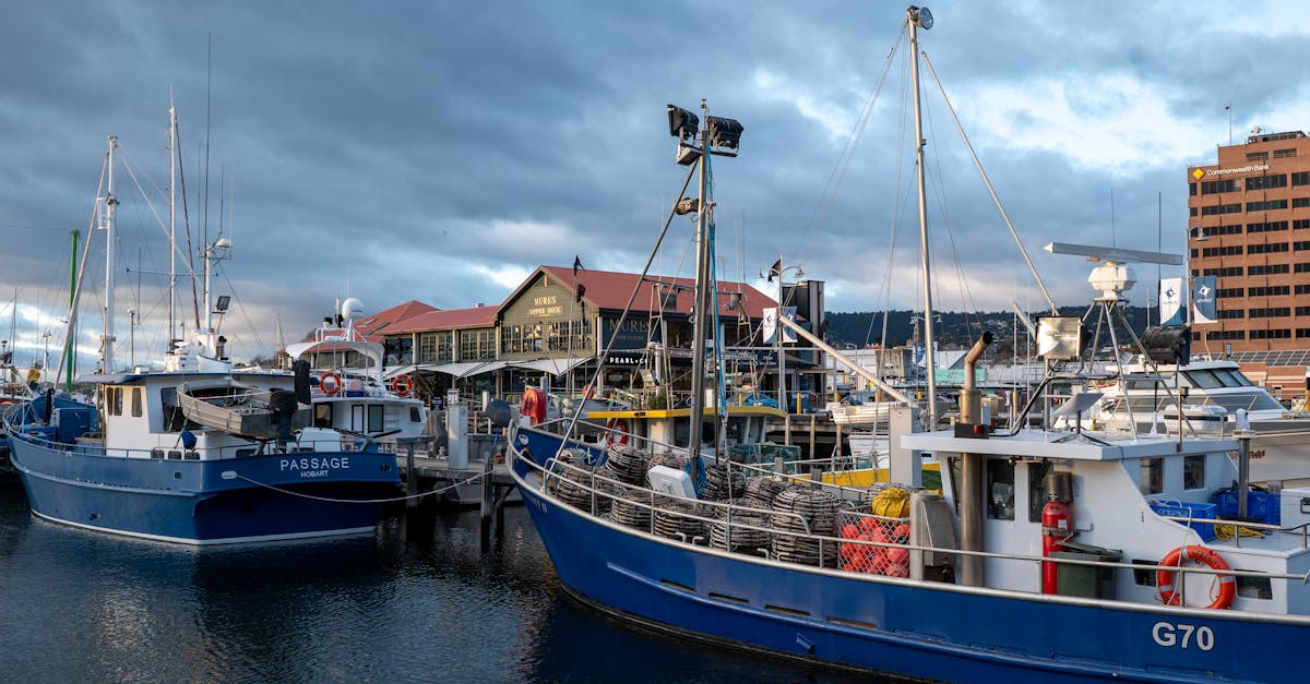 Importance of Understanding Contractor Licences in Hobart