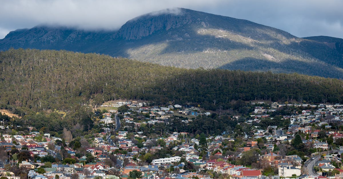 Incorporating Natural Light into Your Kitchen Renovation
